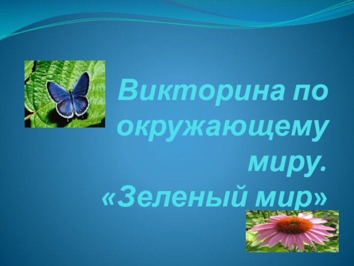 Викторина по окружающему миру. «Зеленый мир»