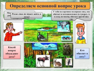 Презентация. Леса умеренного пояса презентация к уроку по окружающему миру (2 класс)