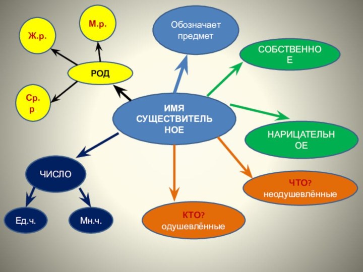 ИМЯ СУЩЕСТВИТЕЛЬНОЕОбозначает предметКТО?одушевлённыеЧТО?неодушевлённыеСОБСТВЕННОЕНАРИЦАТЕЛЬНОЕЧИСЛОЕд.ч.Мн.ч.РОДМ.р.Ж.р.Ср.р.
