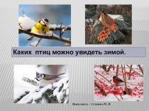 Презентация по теме:Зимующие птицы. презентация к занятию по окружающему миру (старшая группа) по теме