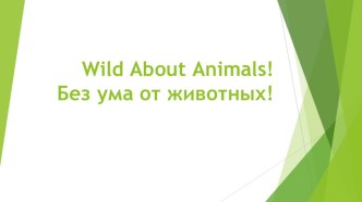 Презентация к уроку открытия ногового знания Wild about animals презентация к уроку по иностранному языку (4 класс)