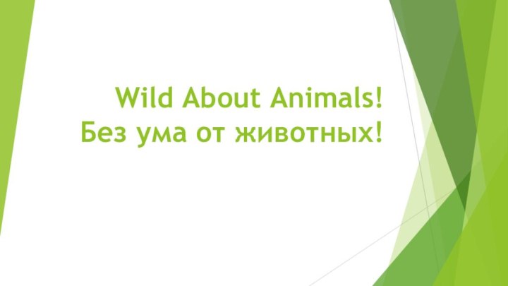 Wild About Animals! Без ума от животных!