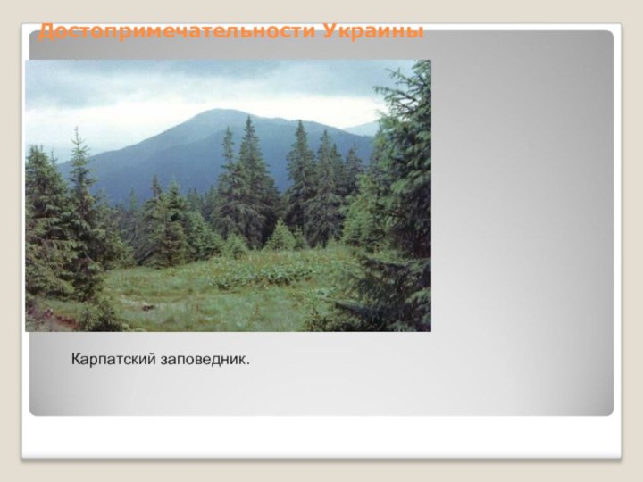 Достопримечательности УкраиныКарпатский заповедник.