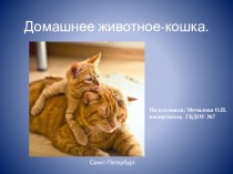 Презентация Домашнее животное-кошка учебно-методический материал по развитию речи (младшая группа)