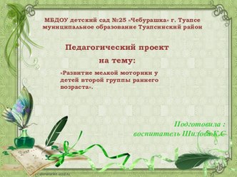 Педагогический проект :Развитие мелкой моторики у детей второй группы раннего возраста. проект (младшая группа)