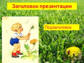 obrazec prezentacii 2