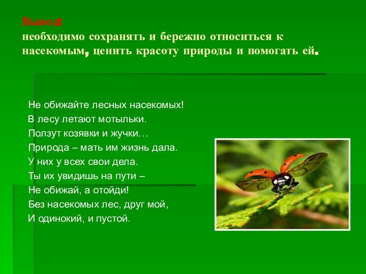 Вывод:  необходимо сохранять и бережно относиться к насекомым, ценить красоту природы