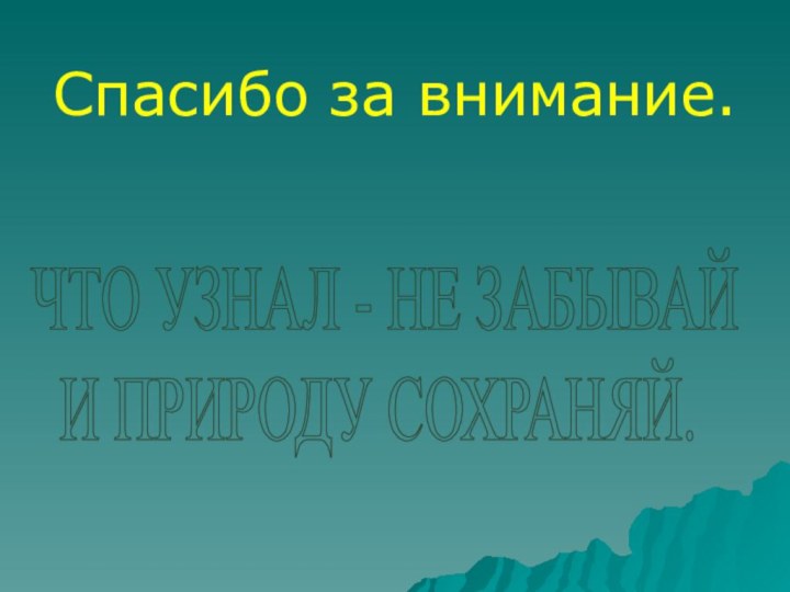 Спасибо за внимание. ЧТО УЗНАЛ - НЕ ЗАБЫВАЙ  И ПРИРОДУ СОХРАНЯЙ.