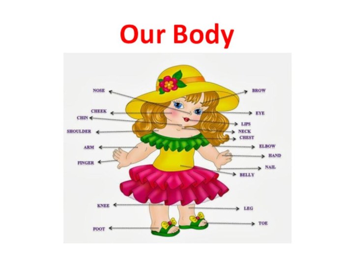 Our Body