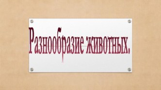 Разнообразие животных презентация к уроку по окружающему миру (2 класс)