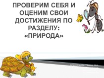 Окружающий мир А.А. Плешаков 2 класс Проверим себя и оценим свои достижения по разделу: Природа. план-конспект урока по окружающему миру (2 класс)