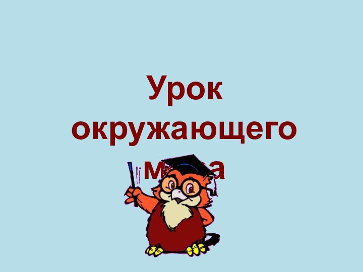 Урок окружающего мира