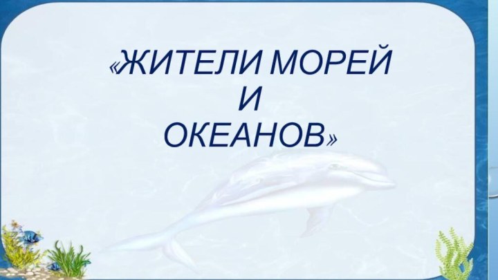 «Жители морей  и  океанов»