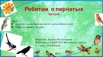 Ребятам о пернатых. Загадки. презентация к уроку по окружающему миру (младшая группа)