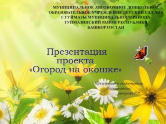 Презентация огород на окне презентация к уроку (младшая группа)