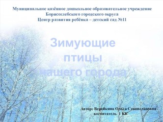 презентация Зимующие птицы презентация к уроку по окружающему миру (подготовительная группа)