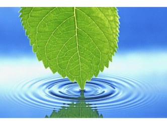 Календарь экологических дат презентация к уроку (средняя группа)