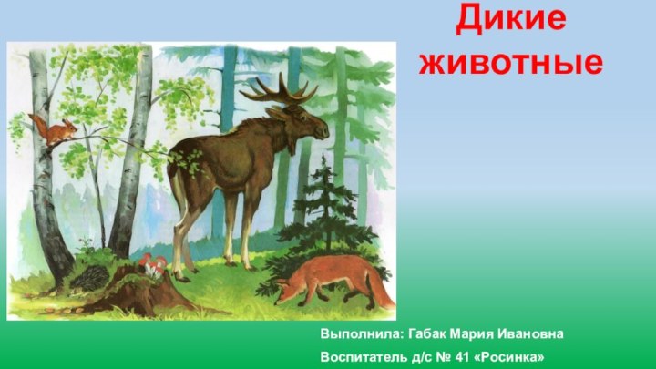 Дикие животныеВыполнила: Габак Мария Ивановна Воспитатель д/с № 41 «Росинка»