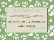 дидактическая игра презентация к уроку по окружающему миру (младшая группа) по теме