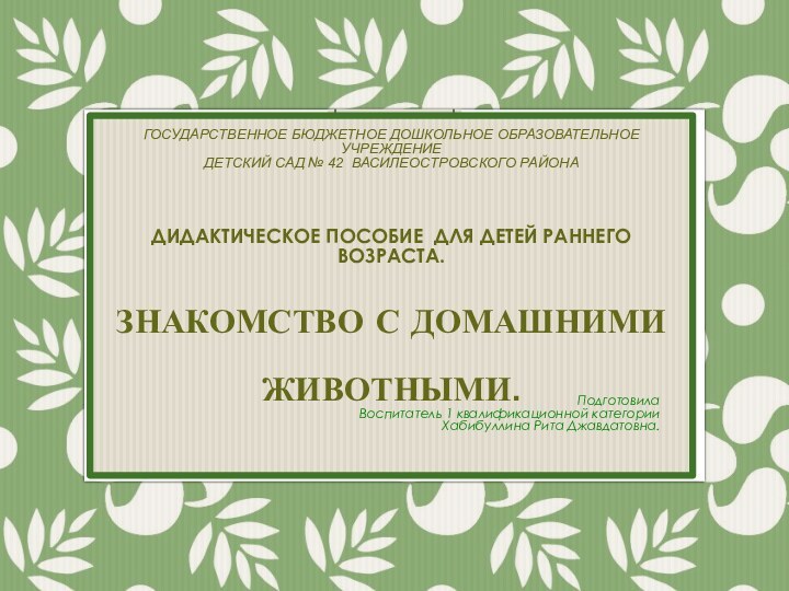 Государственное бюджетное дошкольное образовательное учреждение Детский сад № 42 Василеостровского района
