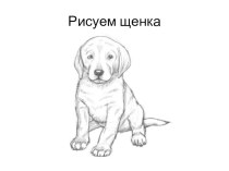 Как нарисовать щенка карандашом презентация к уроку по изобразительному искусству (изо)