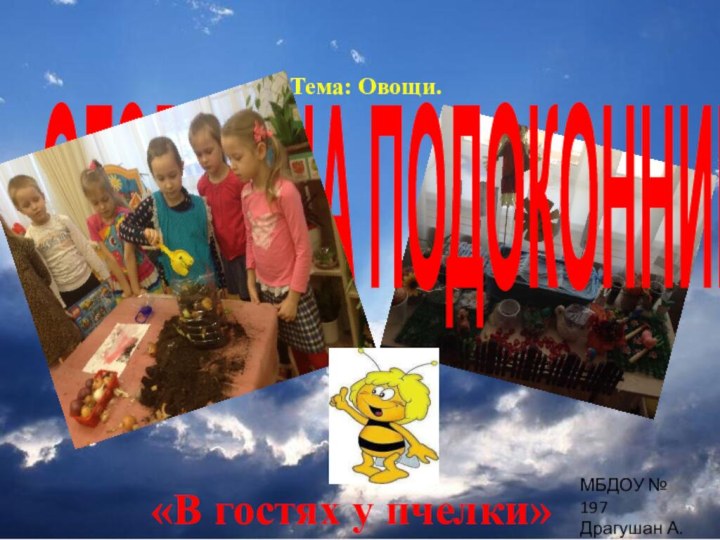 «ОГОРОД НА ПОДОКОННИКЕ»«В гостях у пчелки»МБДОУ № 197Драгушан А.Н.Тема: Овощи.