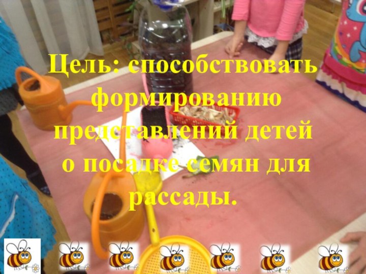 Цель: способствовать формированию представлений детей о посадке семян для рассады.