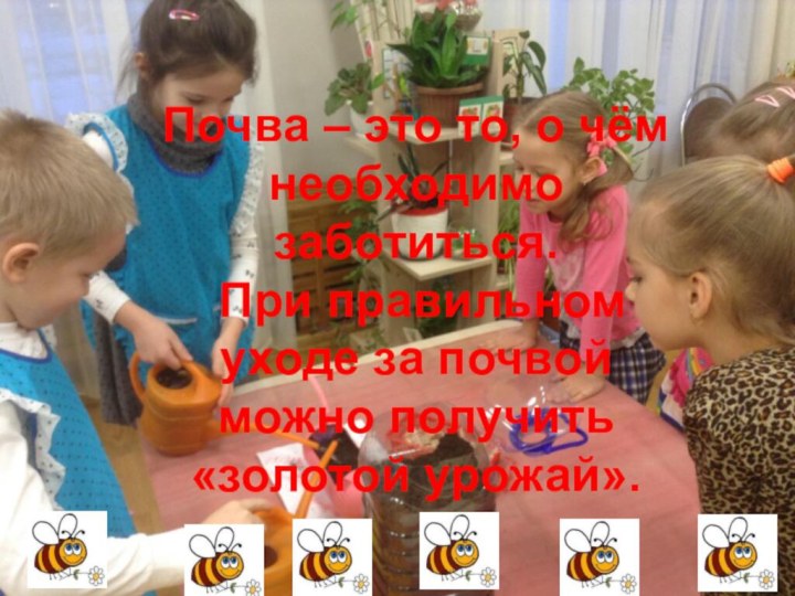 Почва – это то, о чём необходимо заботиться. При правильном уходе за