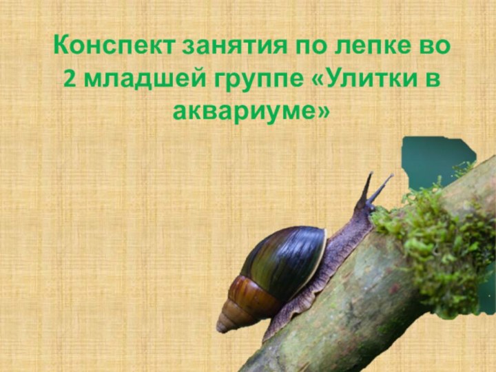 Конспект занятия по лепке во 2 младшей группе «Улитки в аквариуме»