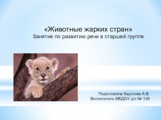 Животные жарких стран план-конспект занятия (средняя группа) по теме