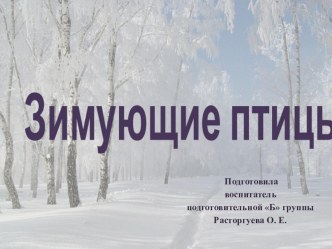 Презентация Зимующие птицы презентация к уроку (подготовительная группа)