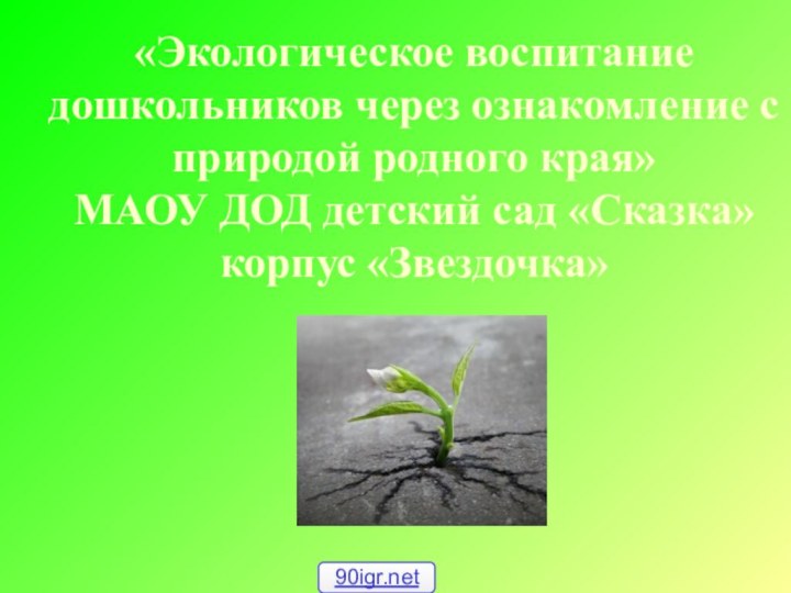 «Экологическое воспитание дошкольников через ознакомление с природой родного края» МАОУ ДОД детский