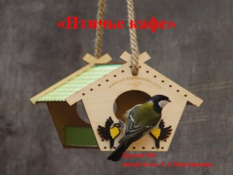 Презентация проекта Птичье кафе презентация к уроку (старшая группа)