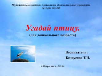 Презентация :загадки о птицахв старшей группе. презентация по окружающему миру