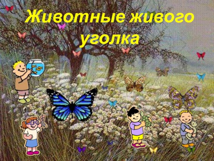 Животные живого уголка