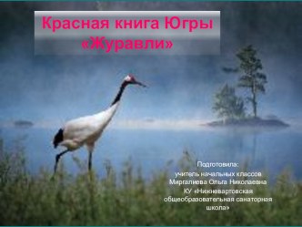 Проект Красная книга Югры. Журавли проект