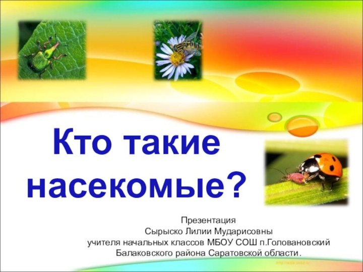 Кто такие насекомые?Презентация Сырыско Лилии Мударисовныучителя начальных классов МБОУ СОШ п.Головановский Балаковского района Саратовской области.