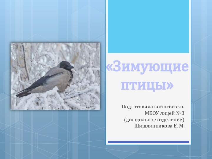 «Зимующие птицы»Подготовила воспитатель МБОУ лицей №3 (дошкольное отделение) Шишлянникова Е. М.