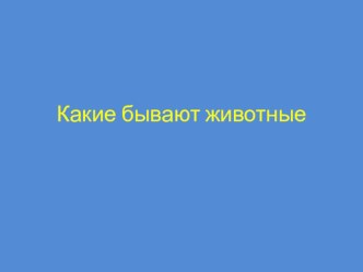 Какие бывают животные. презентация к уроку по окружающему миру (1 класс) по теме