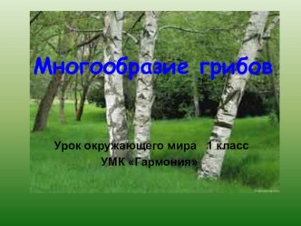 Многообразие грибов презентация к уроку по окружающему миру (1 класс) по теме