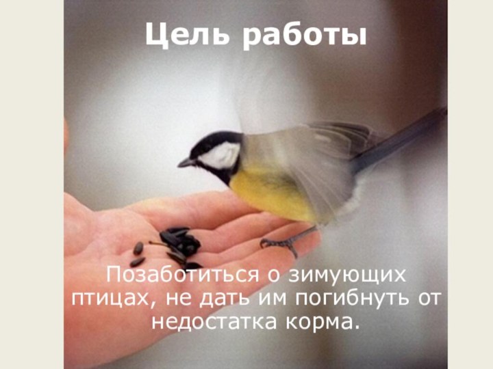 Цель работыПозаботиться о зимующих птицах, не дать им погибнуть от недостатка корма.