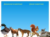 Классификация животных. презентация к уроку по окружающему миру (младшая группа)