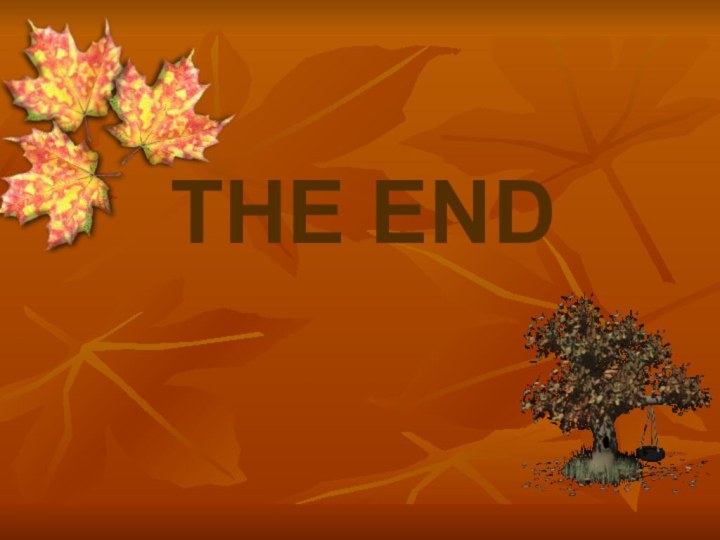 THE END