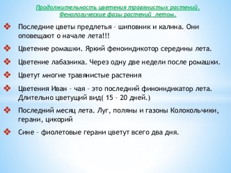 Лето презентация к уроку по окружающему миру (подготовительная группа)