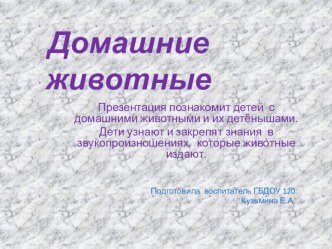 Презентация Домашние животные, 2ая мл. группа презентация к уроку (младшая группа)