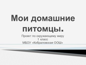 Презентация МОИ ДОМАШНИЕ ПИТОМЦЫ. АНГОРСКАЯ КОШКА. презентация к уроку по окружающему миру (1 класс)