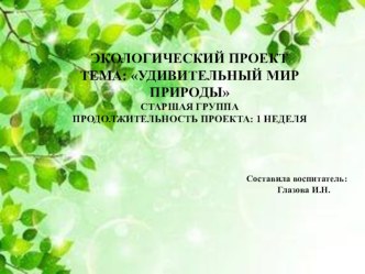 Удивительный мир природы презентация к уроку по окружающему миру (старшая группа)