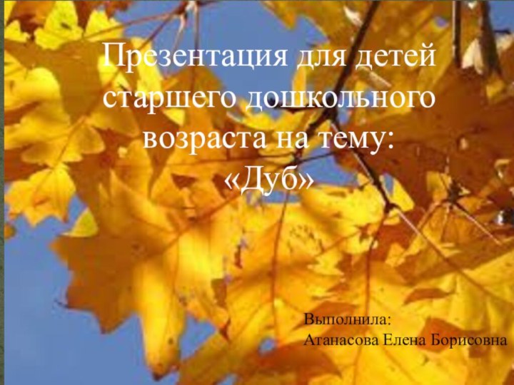 Презентация для детей старшего дошкольного возраста на тему: «Дуб»Выполнила: Атанасова Елена Борисовна