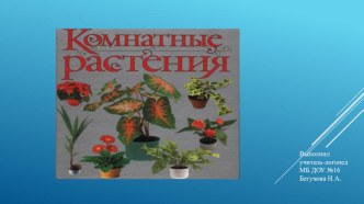 Презентация к логопедическому занятию в средней группе ДОУ для детей с ОНР по лексической теме Комнатные растения( иллюстрация конспекта подгруппового логопедического занятия в средней группе ДОУ для детей с ОНР из пособия Нищевой Н.В.) презентация к урок