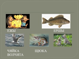 Презентация на повторение изученных орфограмм презентация урока для интерактивной доски по русскому языку (2 класс)